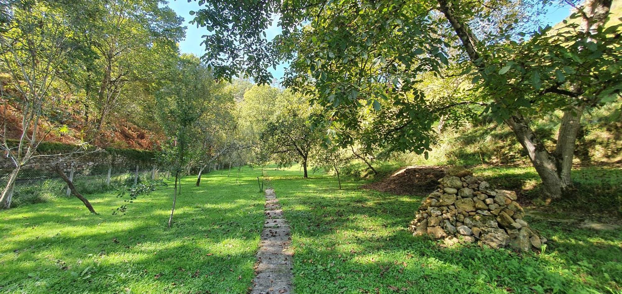 La Casona De La Vega Junto A Cangas De Onis Ngoại thất bức ảnh